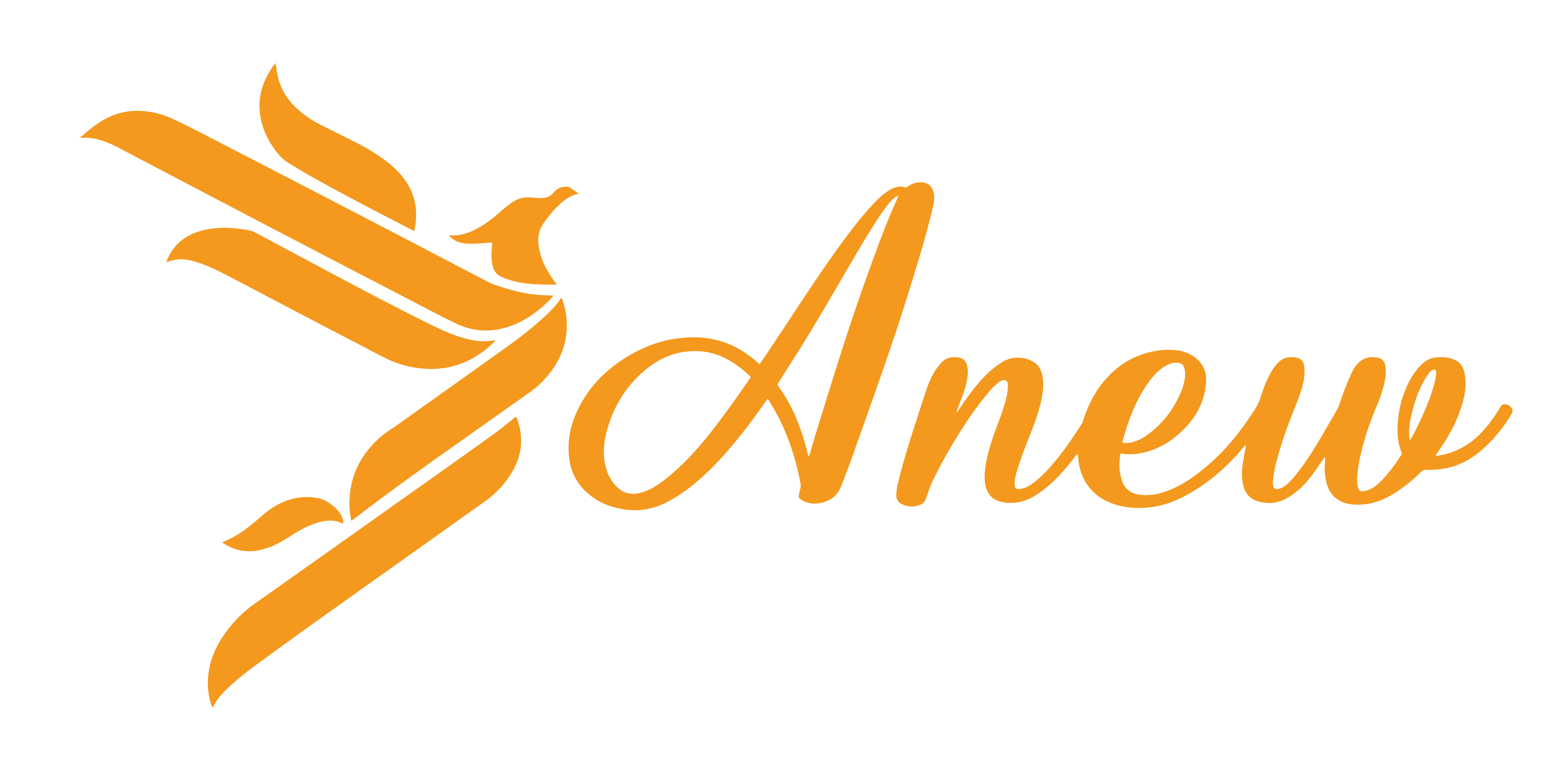 logo-anew